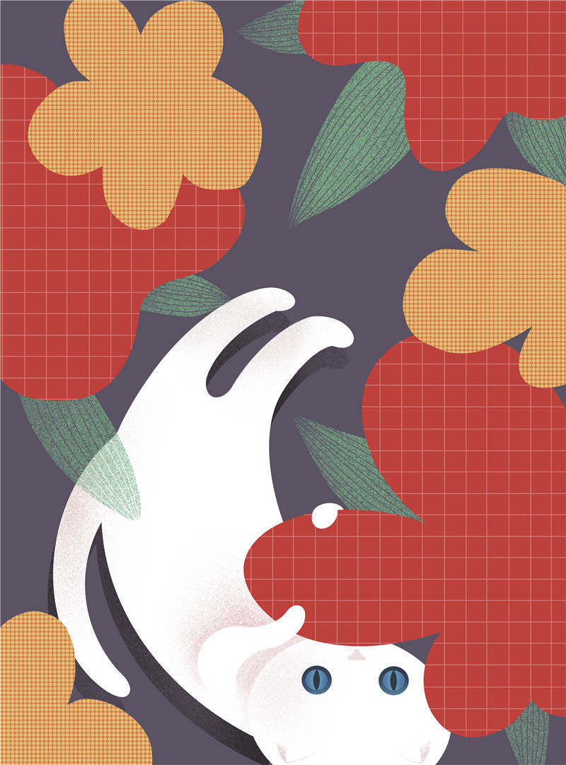 在喵咪数量超过狗狗的日本，一位旅日作家如何探寻日本文学与猫的渊源？