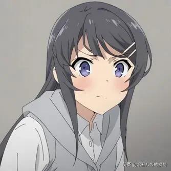 二次元的你,知道这些梗么