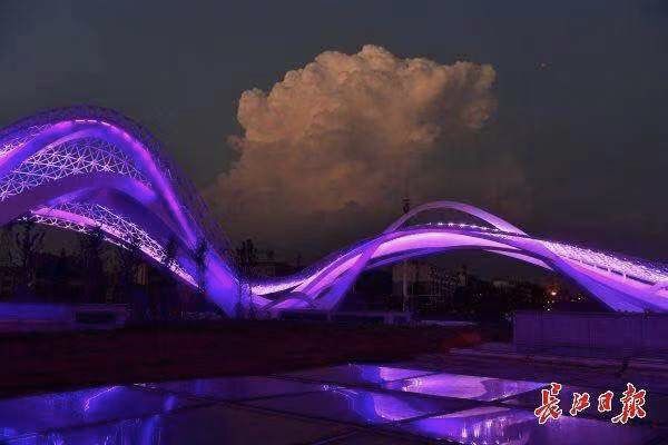 “我还没见过有那个城市的春天，能比武汉还美！”