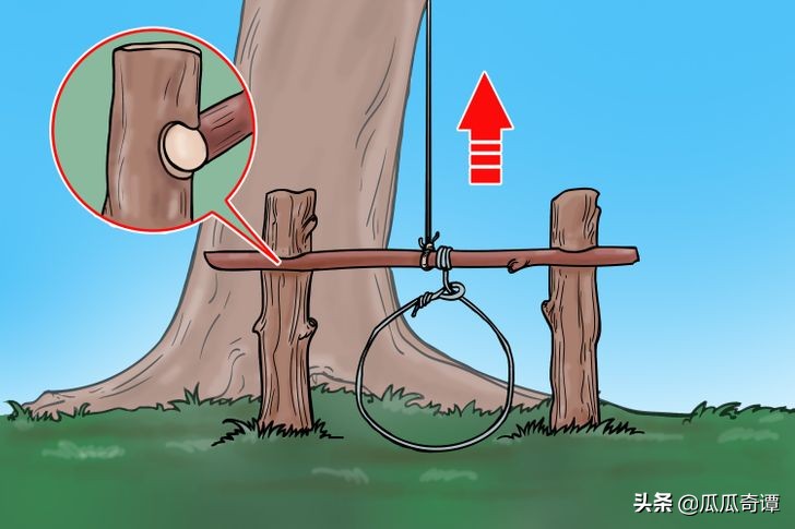 野外生存必须记住的6个小技巧,野外自救生存小妙招