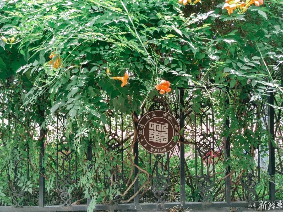 中华中学高中,中华中学