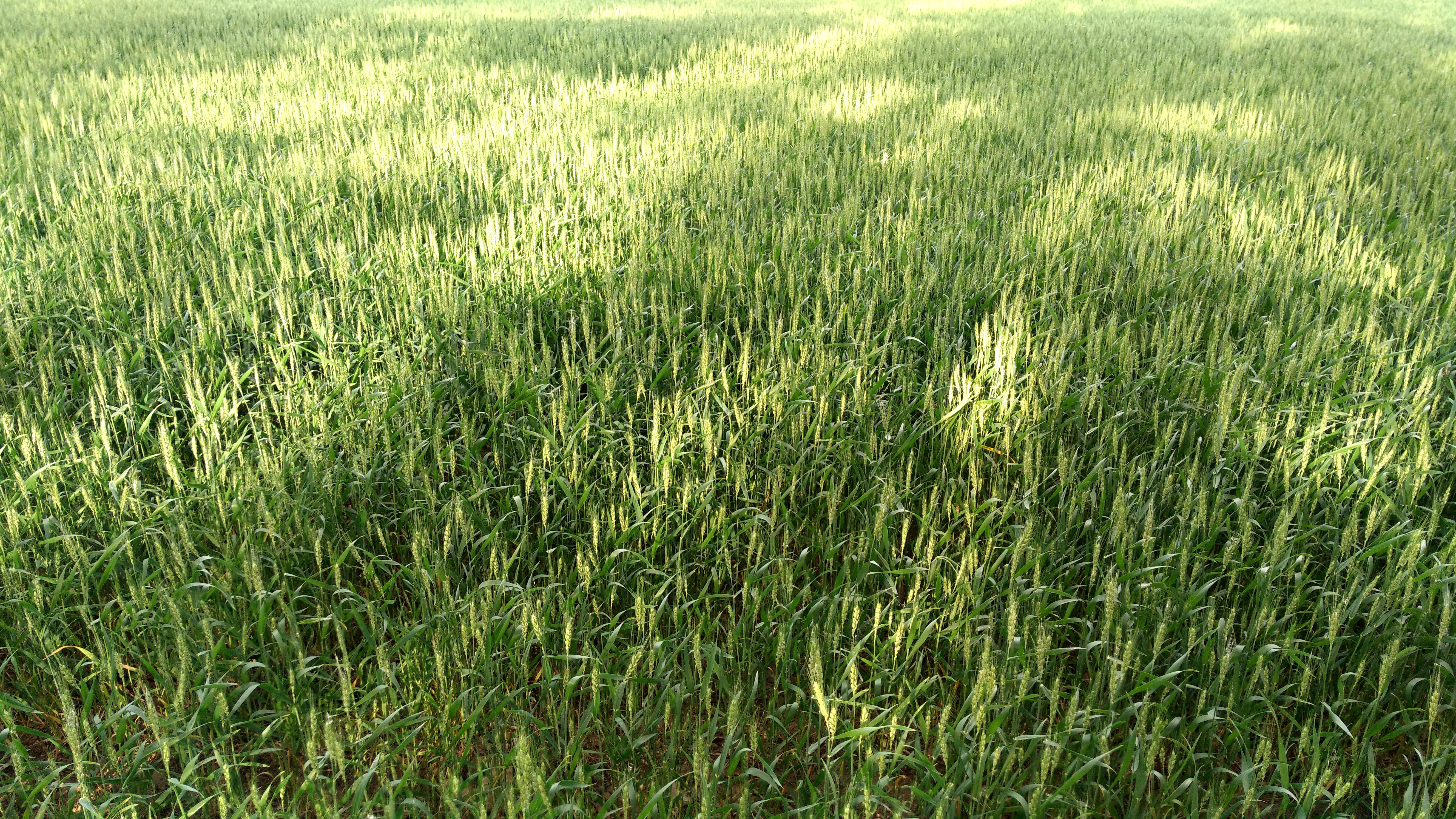 1920x1080和1366x768,1920x1080和1366x768区别