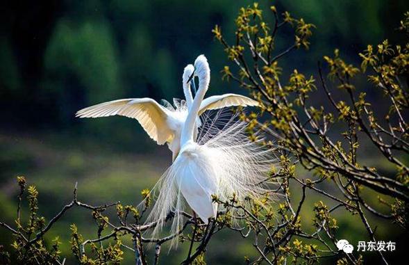 丹东旅游攻略景点必去五一,丹东五一旅游推荐路线攻略