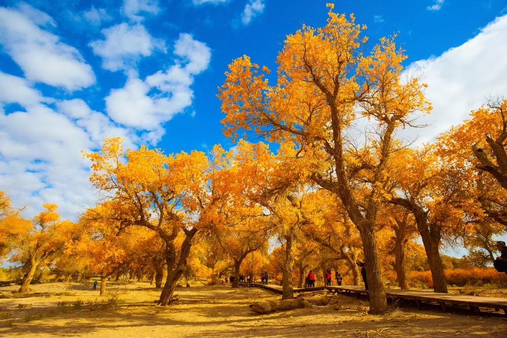 世界十大必去旅游城市,世界十大最值得去的地方