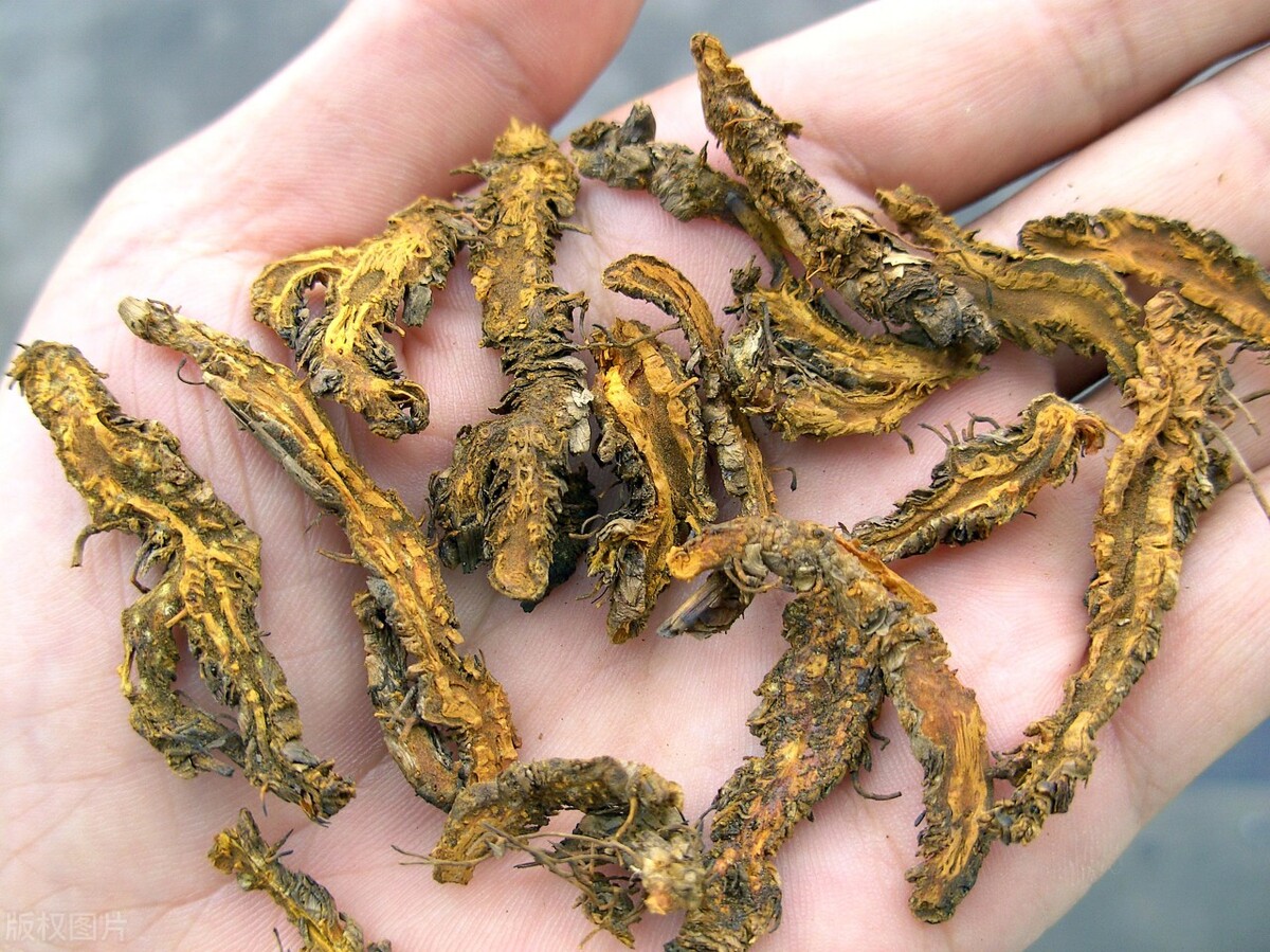 腹泻的症状及中医辨证论治,治疗腹泻的中药吃多了会怎样