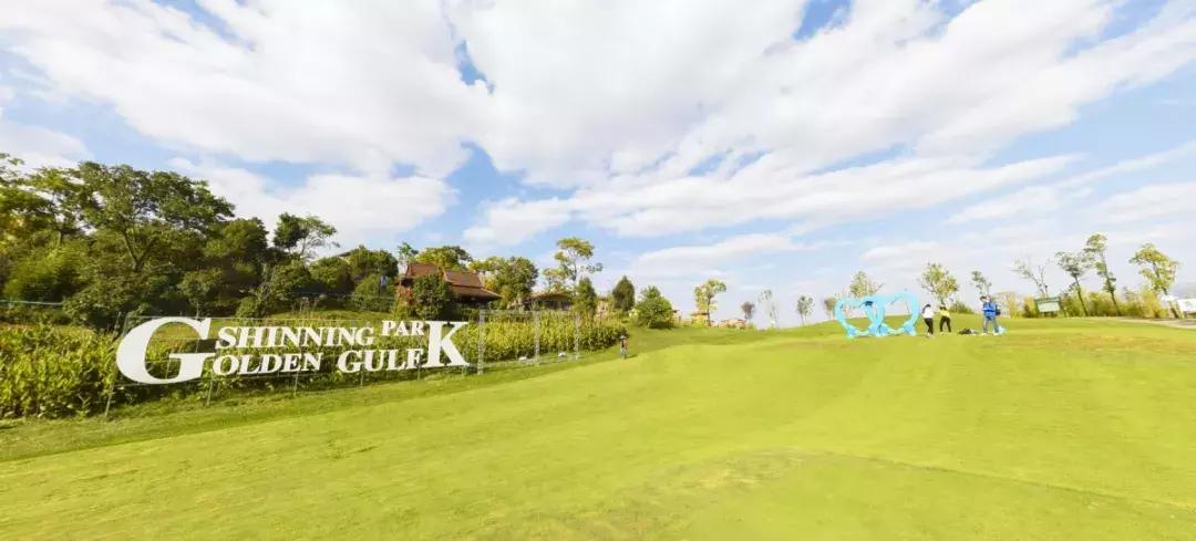 曲靖这31个景点你都去过了吗,曲靖千亩花海美景