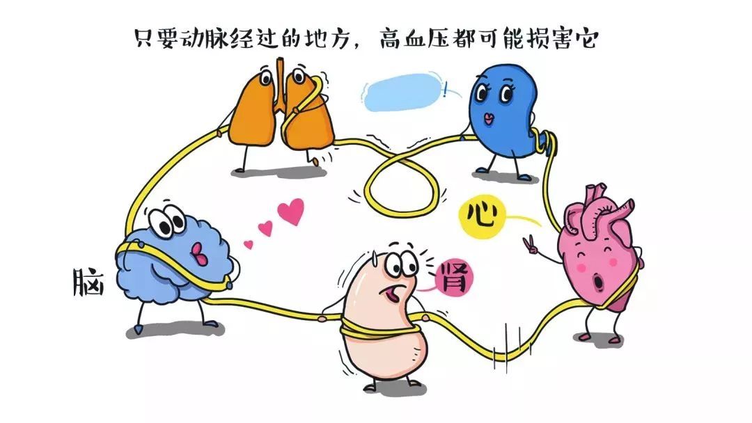 高血压吃着药血压反复升高咋回事,降压药对血管硬化有帮助吗