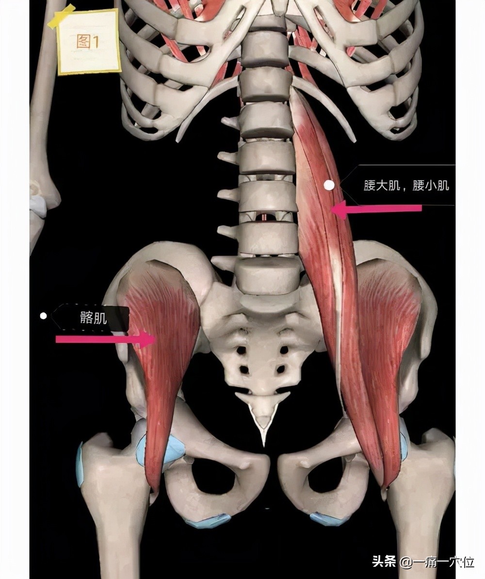 腰部弯腰时和蹲下时疼得厉害,弯腰起身后腰部脊柱突然疼怎么办