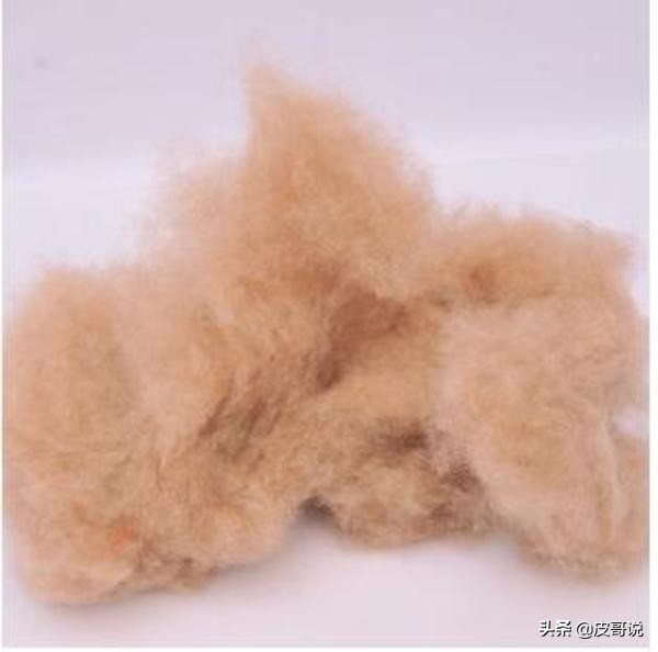 驼绒服怎么清洗干净,驼绒衣服怎么保养