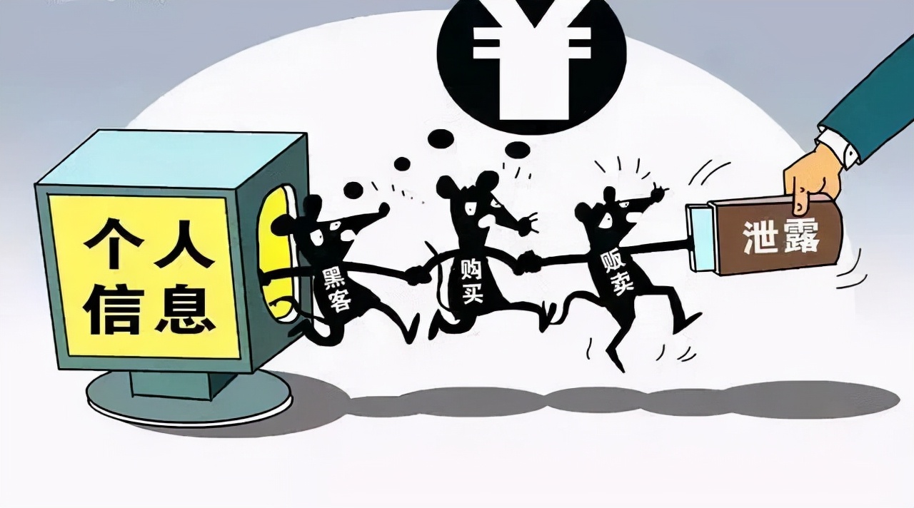 净网2021靠谱吗,净网2021什么时候开始的