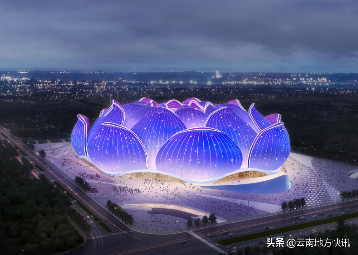 最美荷花盛开视频,最美荷花秀视频大全