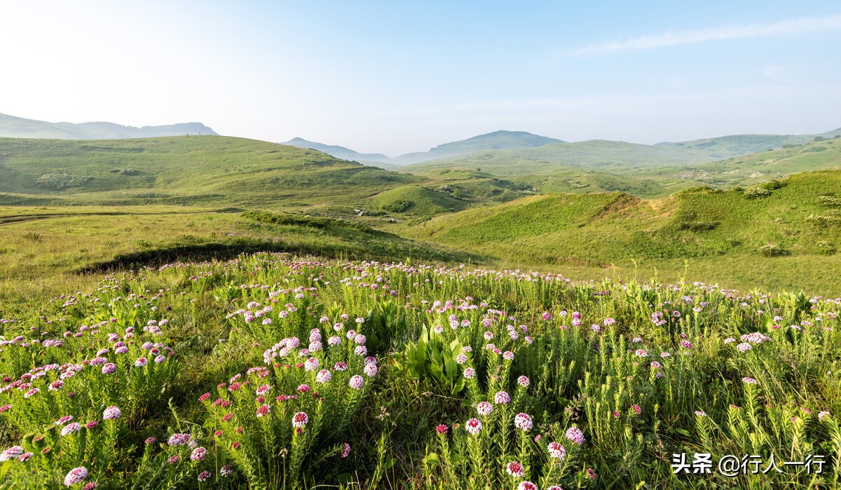 华北最大的亚高山草甸圣王坪,华北最大的亚高山草甸