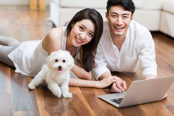 猫狗除耳螨的药,猫狗耳螨土方法怎么治