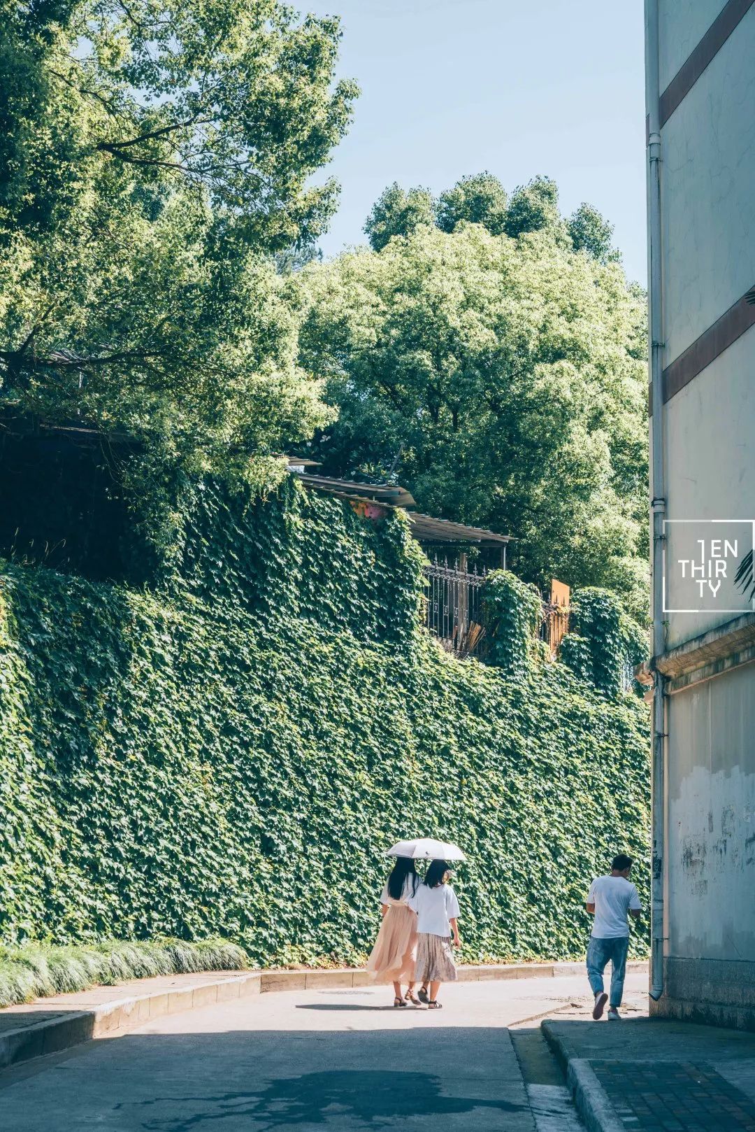 用66张照片回忆2020年,江夏高清图片