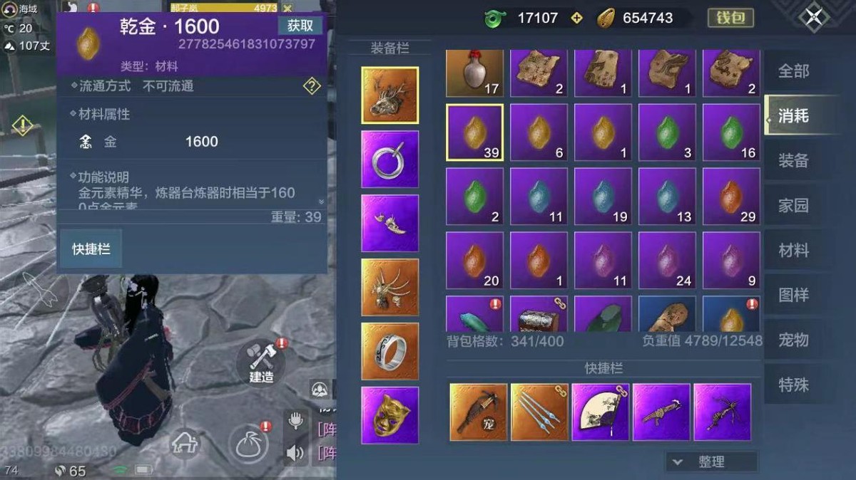 妄想山海萌新适合玩什么元素,妄想山海这款游戏到底要怎么玩