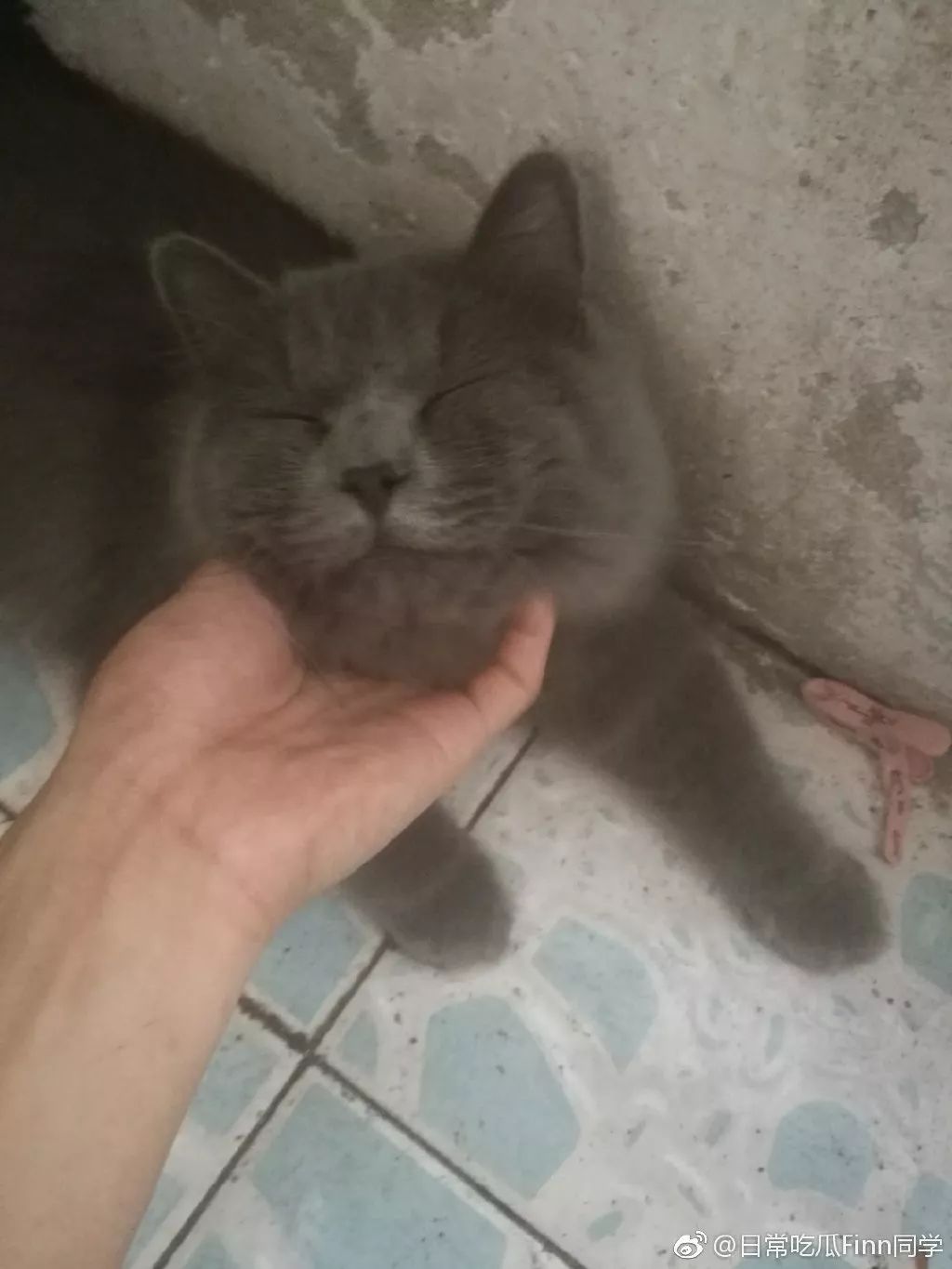 41岁宛如少女，这个“董卿的接班人”我爱了​