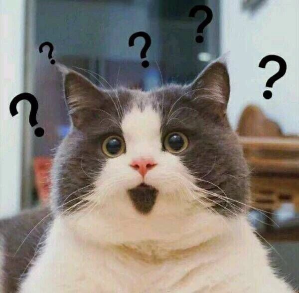 毒牛奶、假蜂蜜、*片鸦**糖浆，还有什么不能造假？