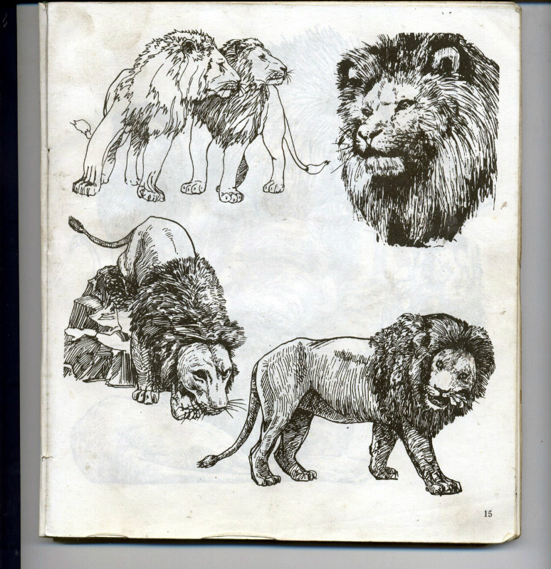 一百幅动物素描,近百幅动物画