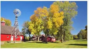 新型农庄发展趋势,特色农庄发展问题