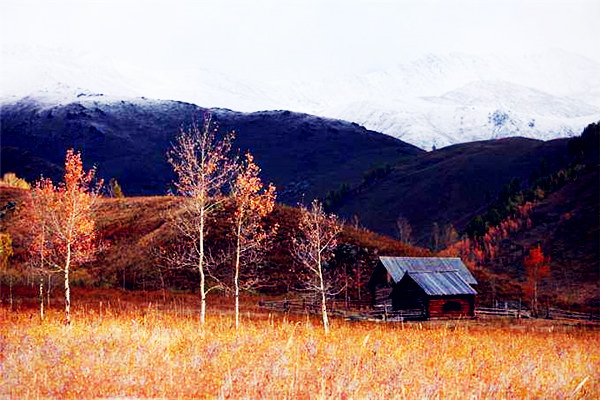 陶渊明的饮酒诗属于律诗还是绝句,陶渊明的五言绝句饮酒