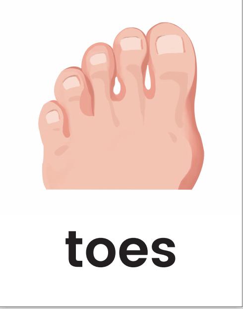 单词记忆小卡片怎么记单词,单词记忆法电子单词卡