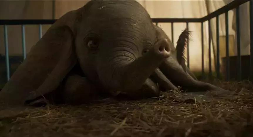 迪士尼即将拍摄的真人版电影,最好看的迪士尼真人电影