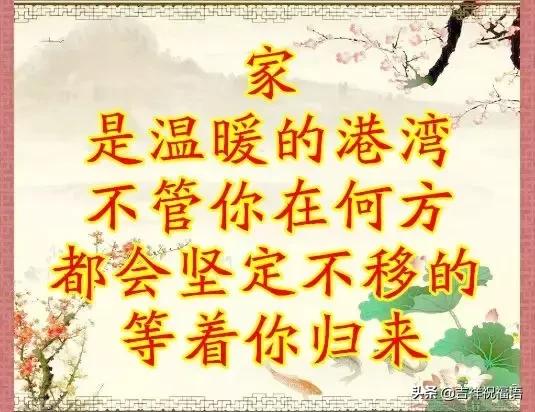 我的家庭相册书籍,我的家庭相册黑白人像