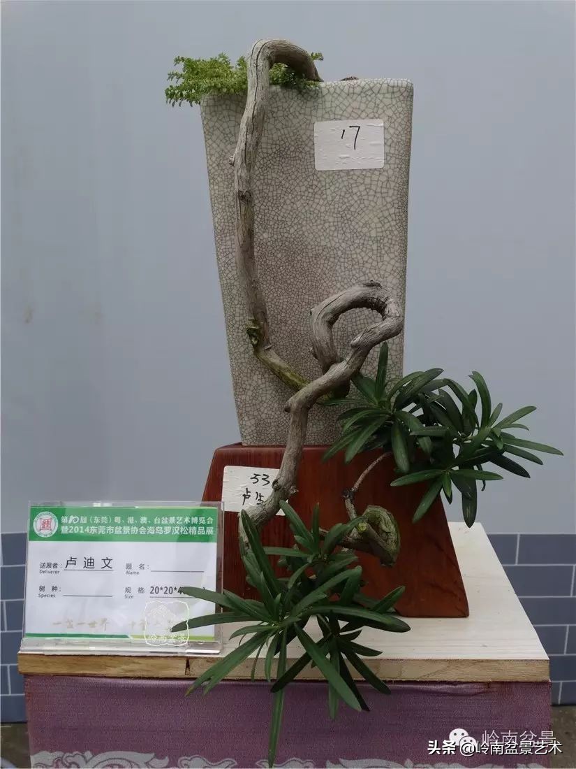 开运招财，非其莫属！清风雅韵，当之无愧！