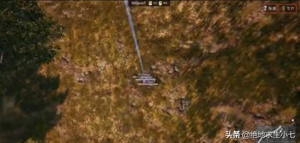 免电网伤害外挂,站着不动也能吃鸡!蓝洞需要有所作为