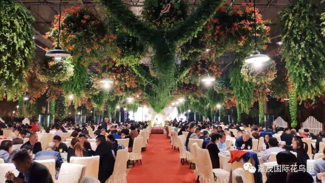 江阴嘉茂国际花鸟园,江阴嘉茂国际花鸟园什么时候再开