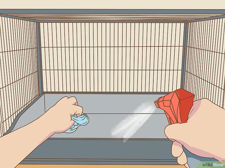 怎么消除宠物味道,如何清除室内宠物味道