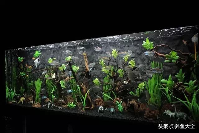 电视柜养鱼,电视柜旁边养鱼好不好