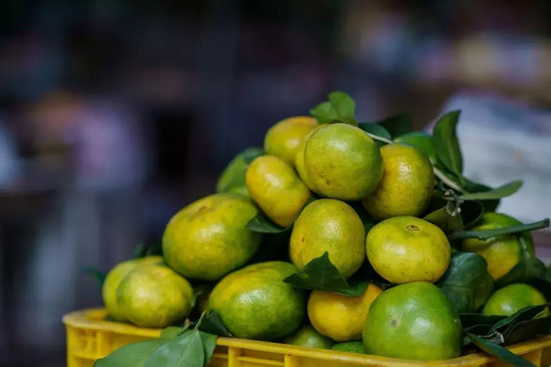 未来昆明发展潜力最大城市,昆明和青岛哪个城市发展潜力大