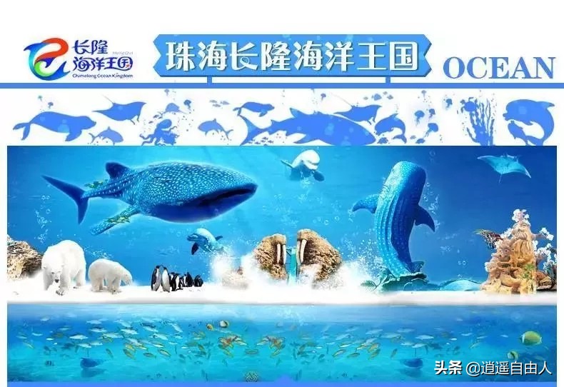 珠海长隆万圣节2022门票,珠海长隆万圣节夜场套票