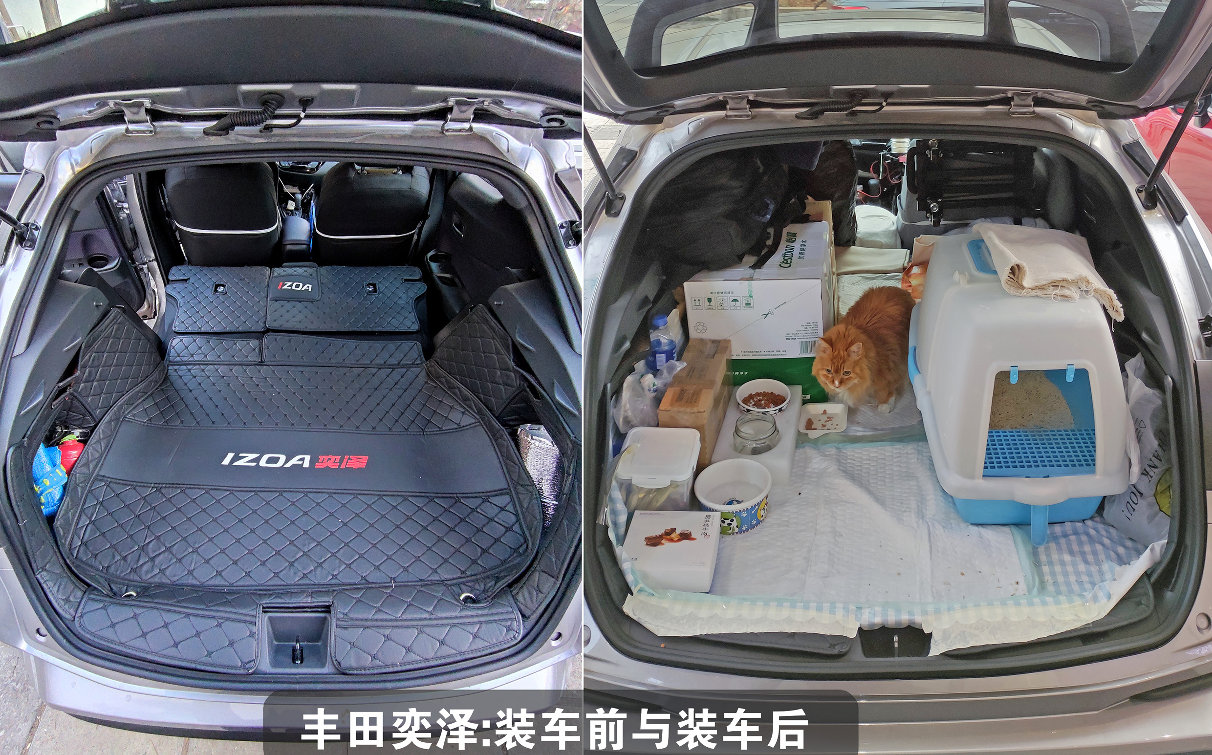 带猫长途自驾需要注意什么,带猫自驾游视频大全