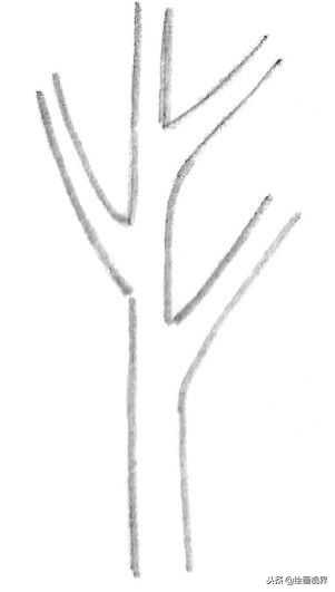 钢笔画入门教程花鸟,钢笔画入门基础教程人物