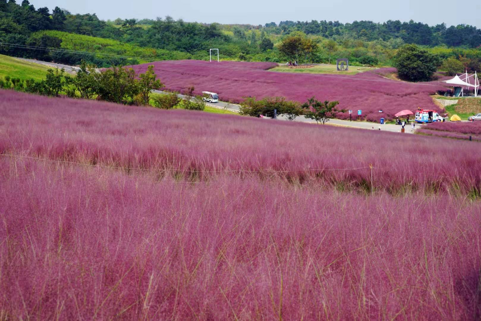 这些字你认识几个,这些字您认识几个