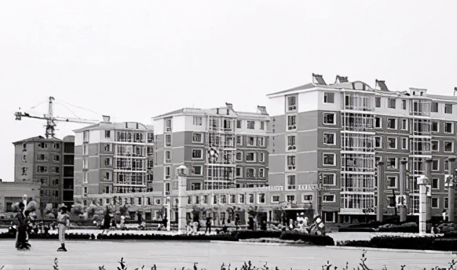 前亚洲首富王健林的风雨沉浮录,前首富完整版