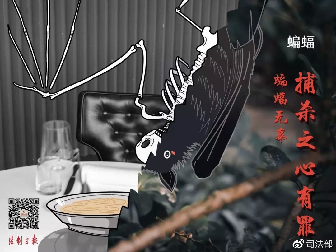 拒绝野味该做到的事情,呼吁大家拒绝野味怎么说