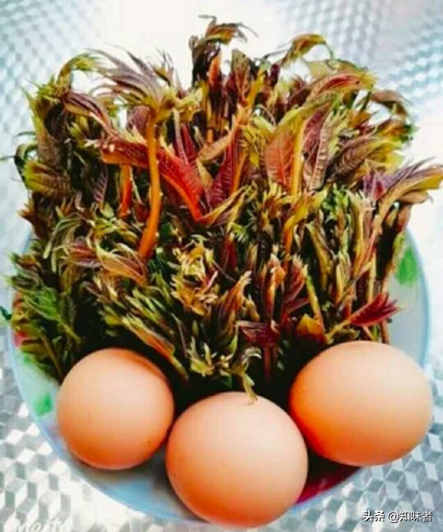 香椿炒鸡蛋正确做法先别着急下锅,香椿炒鸡蛋用不用先把香椿煮一下
