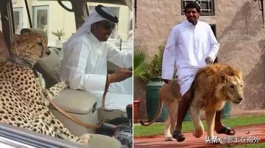 世界上最土豪的国家沙特阿拉伯,沙特足球队有多厉害