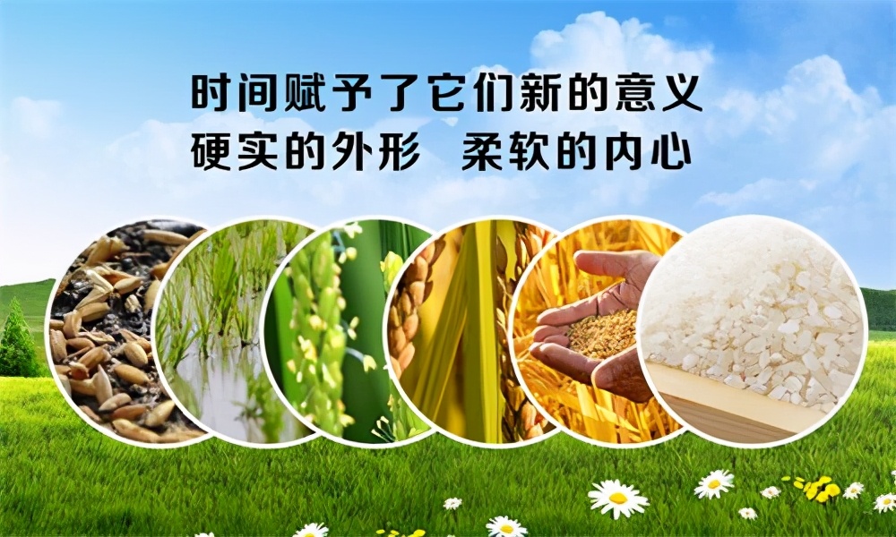 开一家粮油店是否可行吗?怎么开,如何开