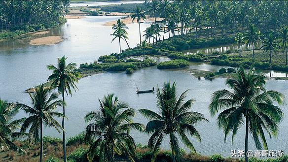 陵水在哪里买特产便宜,陵水必买的十大特产