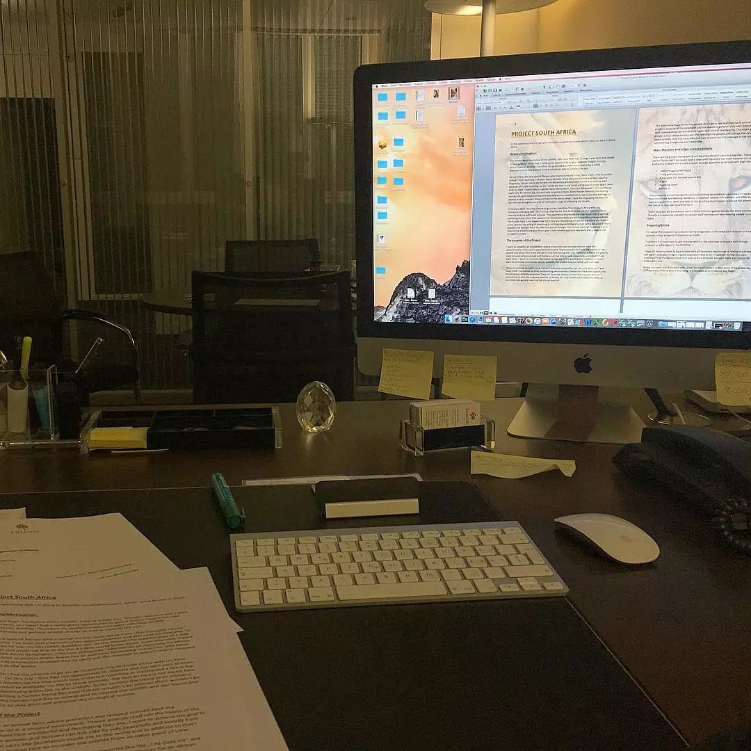 放弃百万年薪，去非洲撸猫？长腿版小李子引63w人舔屏：看我看我