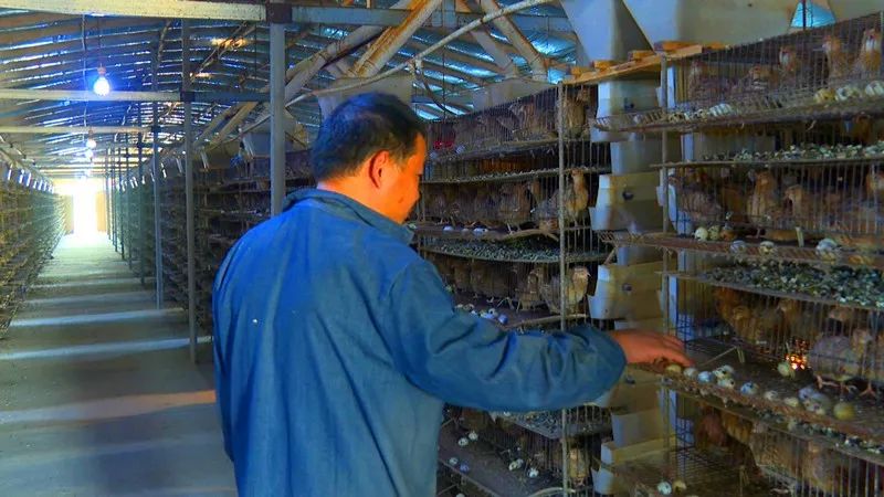 厉害了！武进竟隐藏着一位“大神”，练就了“瞎子”听鸟的本事~