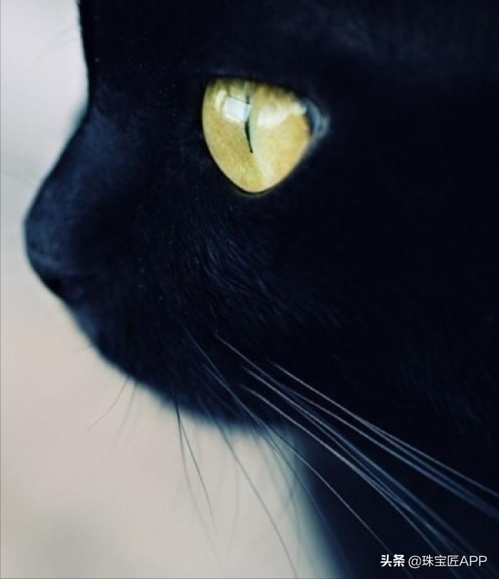 哪种宝石可能显猫眼效应,有猫眼效应却不值钱的宝石有哪些