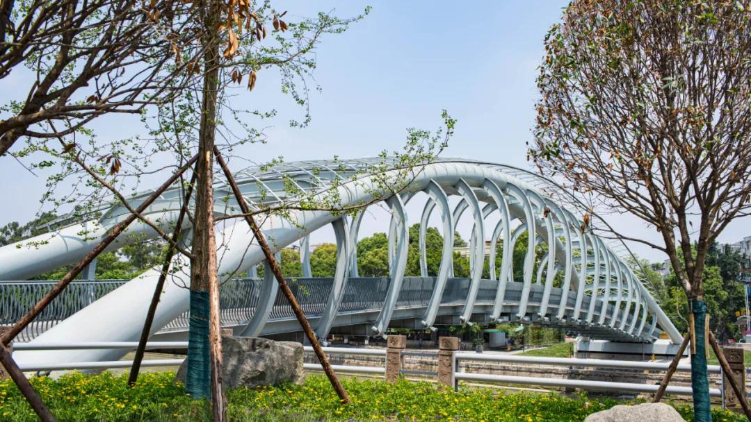 天府新区生活配套,成都天府新区教育配套