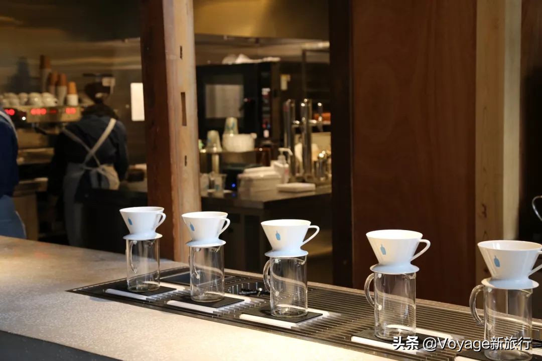 秋天来京都，体验「限定红」的“枫”情万种