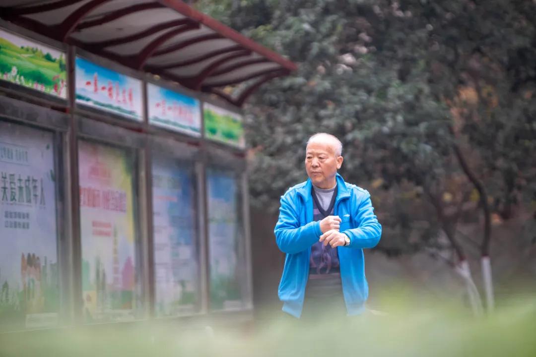 西安莲湖公园晨跑,西安莲湖公园散步