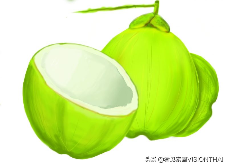 认识50种水果蔬菜,认识热带水果菠萝